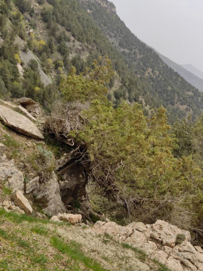 Отель Сахара Baysun ภายนอก รูปภาพ